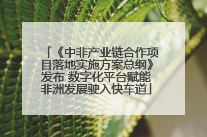 《中非产业链合作项目落地实施方案总纲》发布 数字化平台赋能非洲发展驶入快车道