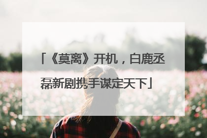《莫离》开机，白鹿丞磊新剧携手谋定天下