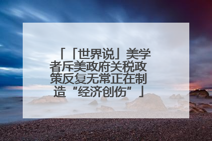 「世界说」美学者斥美政府关税政策反复无常正在制造“经济创伤”