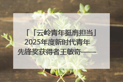 「云岭青年挺膺担当」2025年度新时代青年先锋奖获得者王敏奇——澜沧江上好渔人