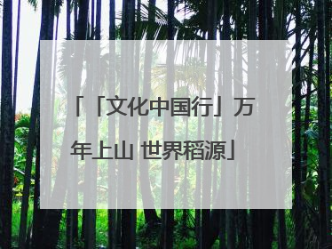 「文化中国行」万年上山 世界稻源
