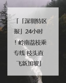 「深圳特区报」24小时！岭南荔枝乘专线 枝头直飞新加坡