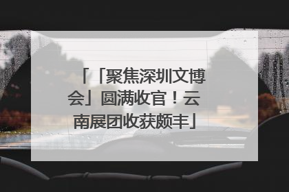 「聚焦深圳文博会」圆满收官！云南展团收获颇丰