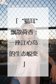 “猫耳”飘散荷香：一座江心岛的生态蜕变