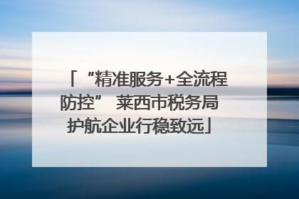 “精准服务+全流程防控” 莱西市税务局护航企业行稳致远