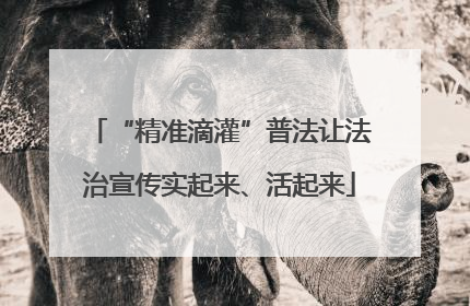 “精准滴灌”普法让法治宣传实起来、活起来