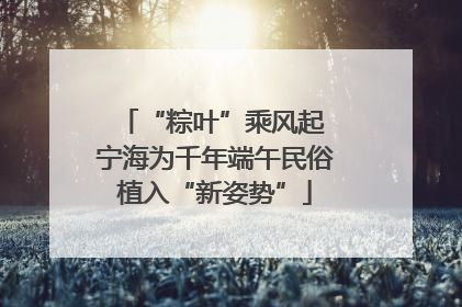 “粽叶”乘风起 宁海为千年端午民俗植入“新姿势”
