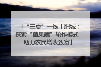 “三夏”一线丨肥城：探索“菌果蔬”轮作模式 助力农民增收致富