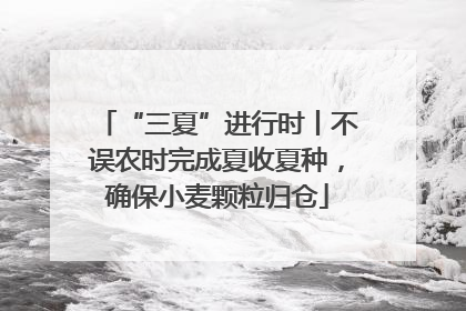 “三夏”进行时丨不误农时完成夏收夏种，确保小麦颗粒归仓