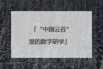 “中国云谷”里的数字研学