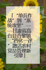 “单兵作战”到“系统攻坚”——甘肃省高台县合黎镇“四化一评”激活农村党员管理新引擎