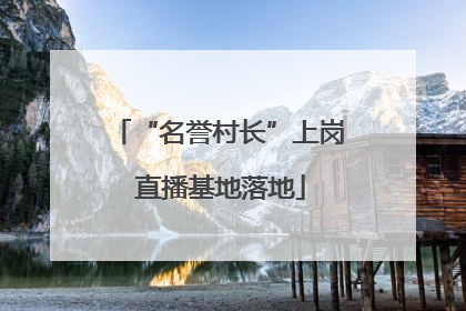 “名誉村长”上岗 直播基地落地