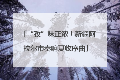 “孜”味正浓！新疆阿拉尔市奏响夏收序曲