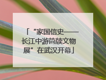 “家国信史——长江中游简牍文物展”在武汉开幕
