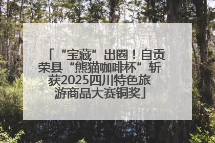 “宝藏”出圈！自贡荣县“熊猫咖啡杯”斩获2025四川特色旅游商品大赛铜奖