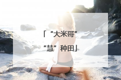“大米哥”“慧”种田