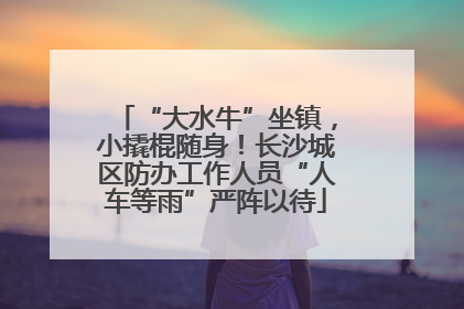“大水牛”坐镇，小撬棍随身！长沙城区防办工作人员“人车等雨”严阵以待