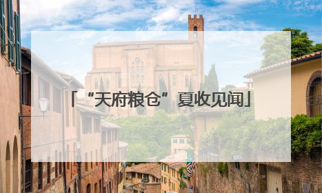 “天府粮仓”夏收见闻