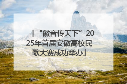 “徽音传天下”2025年首届安徽高校民歌大赛成功举办