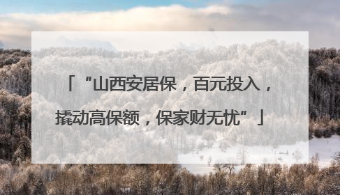 “山西安居保，百元投入，撬动高保额，保家财无忧”