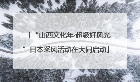 “山西文化年·超级好风光”日本采风活动在大同启动