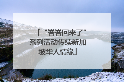 “峇峇回来了”系列活动传续新加坡华人情缘