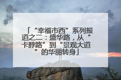 “幸福市西”系列报道之二：盛华路，从“卡脖路”到“景观大道”的华丽转身