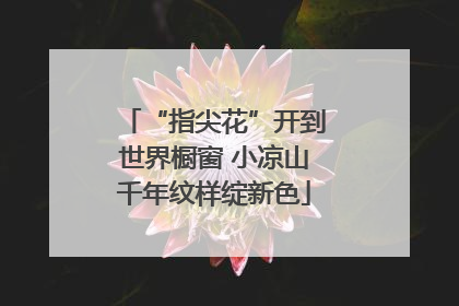 “指尖花”开到世界橱窗 小凉山千年纹样绽新色
