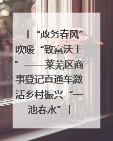 “政务春风”吹暖“致富沃土”——莱芜区商事登记直通车激活乡村振兴“一池春水”