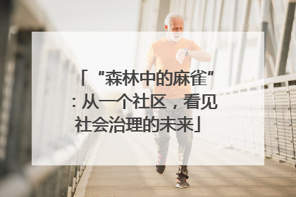 “森林中的麻雀”：从一个社区，看见社会治理的未来
