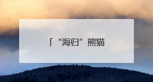 “海归”熊猫，温州亮相