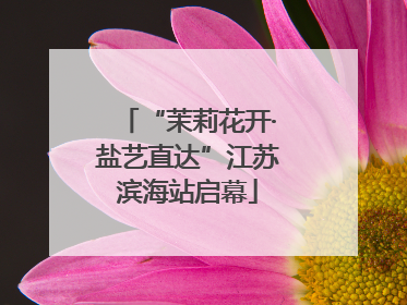 “茉莉花开·盐艺直达”江苏滨海站启幕