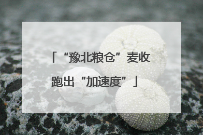 “豫北粮仓”麦收跑出“加速度”