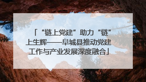 “链上党建”助力“链”上生辉——阜城县推动党建工作与产业发展深度融合