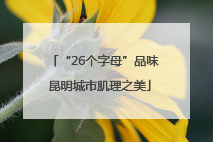 “26个字母”品味昆明城市肌理之美