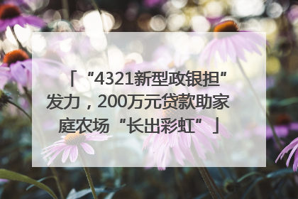 “4321新型政银担”发力，200万元贷款助家庭农场“长出彩虹”