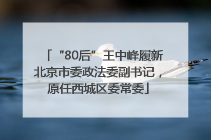 “80后”王中峰履新北京市委政法委副书记，原任西城区委常委