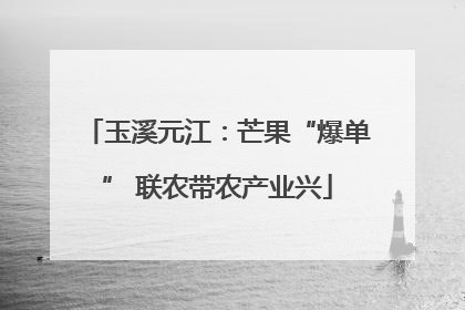 玉溪元江：芒果“爆单” 联农带农产业兴