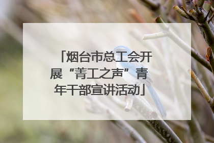 烟台市总工会开展“菁工之声”青年干部宣讲活动
