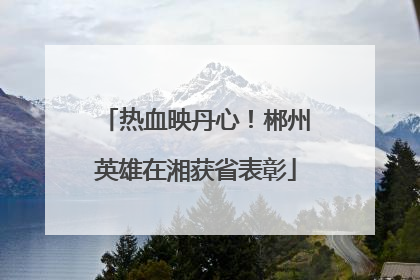 热血映丹心！郴州英雄在湘获省表彰