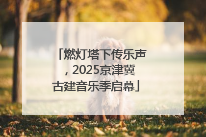 燃灯塔下传乐声，2025京津冀古建音乐季启幕