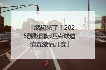 燃起来了！2025鹤壁国际匹克球邀请赛激情开赛