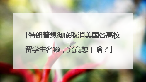 特朗普想彻底取消美国各高校留学生名额，究竟想干啥？