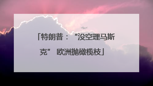 特朗普：“没空理马斯克” 欧洲抛橄榄枝