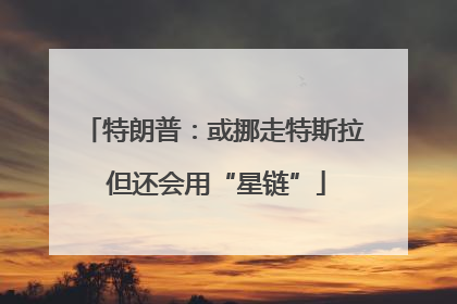特朗普：或挪走特斯拉 但还会用“星链”