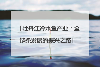 牡丹江冷水鱼产业：全链条发展的振兴之路