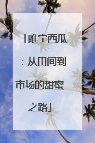 睢宁西瓜：从田间到市场的甜蜜之路