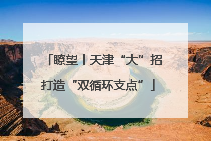 瞭望丨天津“大”招打造“双循环支点”