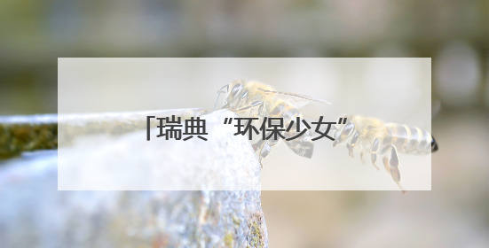 瑞典“环保少女”所乘前往加沙船只被以军登船控制