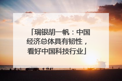 瑞银胡一帆：中国经济总体具有韧性，看好中国科技行业